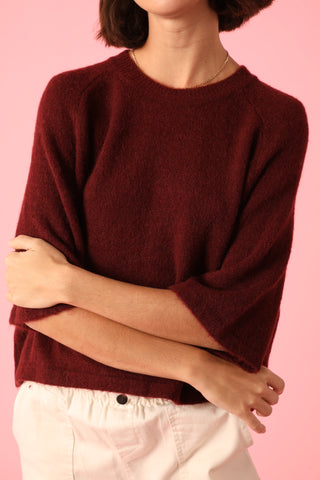 Pull Baby Alpaga col rond