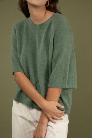 Pull Baby Alpaga col rond