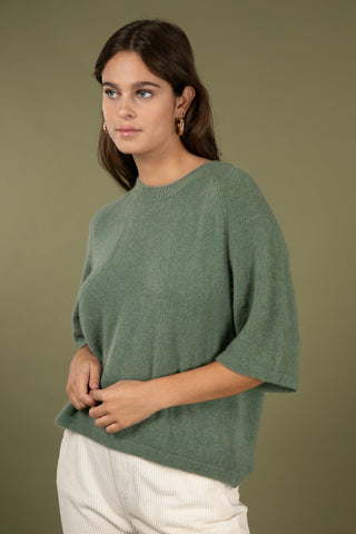 Pull Baby Alpaga col rond