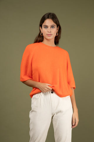 Pull Baby Alpaga col rond