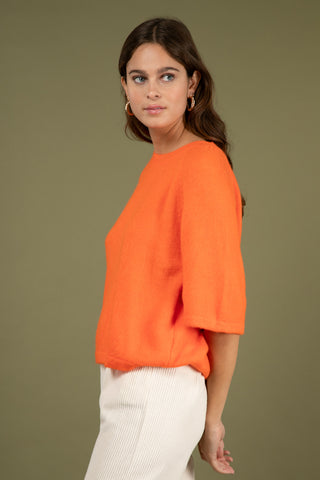 Pull Baby Alpaga col rond