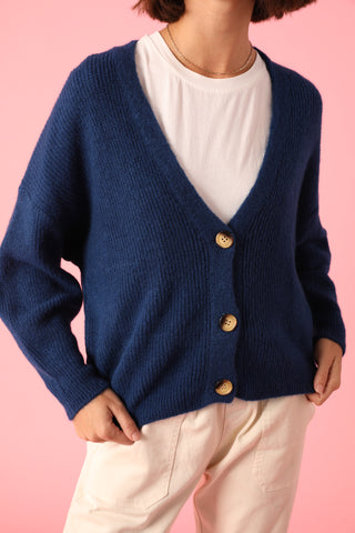 Gilet boutonné en Baby Alpaga col V