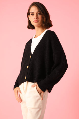 Gilet boutonné en Baby Alpaga col V