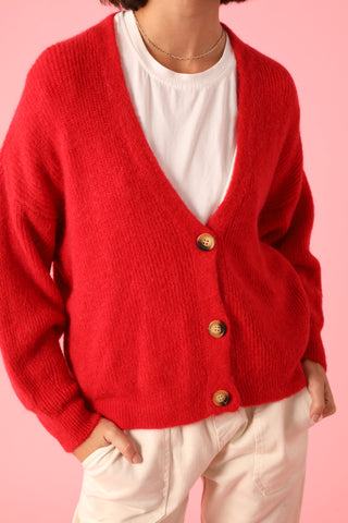 Gilet boutonné en Baby Alpaga col V