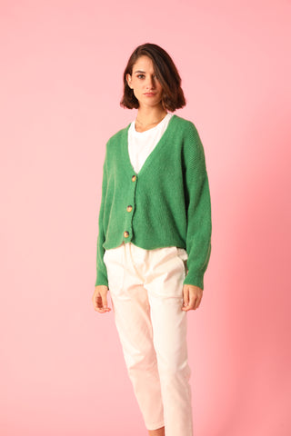 Gilet boutonné en Baby Alpaga col V