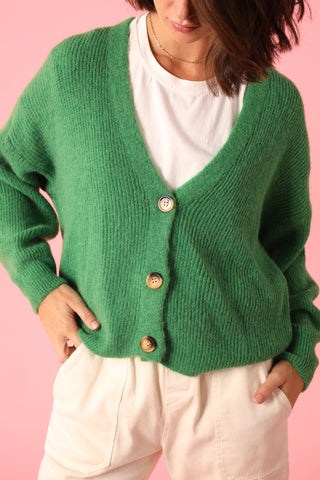 Gilet boutonné en Baby Alpaga col V