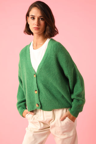 Gilet boutonné en Baby Alpaga col V